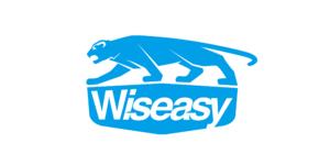 Wiseasy International (Bel) LLC